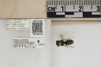 Media type: image;   Entomology 786113 Aspect: Labels